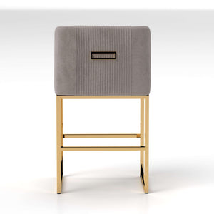 SEYNAR Modern Glam Velvet Golden Matel Frame Counter or High Bar Stools Set of 2/4