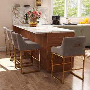 SEYNAR Modern Glam Velvet Golden Matel Frame Counter or High Bar Stools Set of 2/4